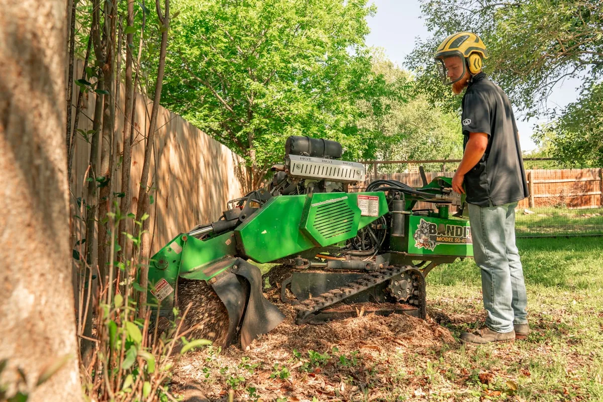 A stump grinder chipping a tree stump down below ground level